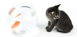 Social Stories for Teaching Self Control photo - Watson Institute