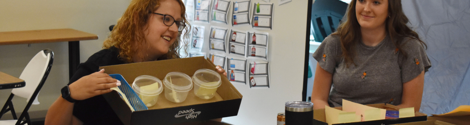 educators engaged in training and consultation services sharing resources they've created - Watson Institute