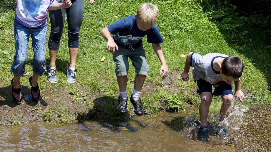 Playing in the mud at Watson