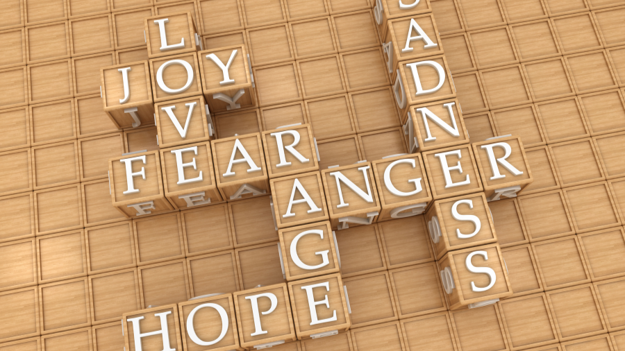 tiles depicting emotions you'd find in an emotional vocabulary - Watson Institute