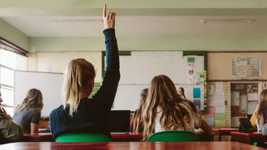 a student has their hand raised during class to ask a question - Watson Institute