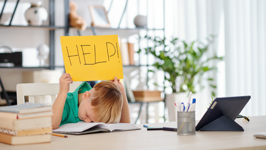 a student holds up a response card to indicate that they need more help understanding a lesson - Watson Institute